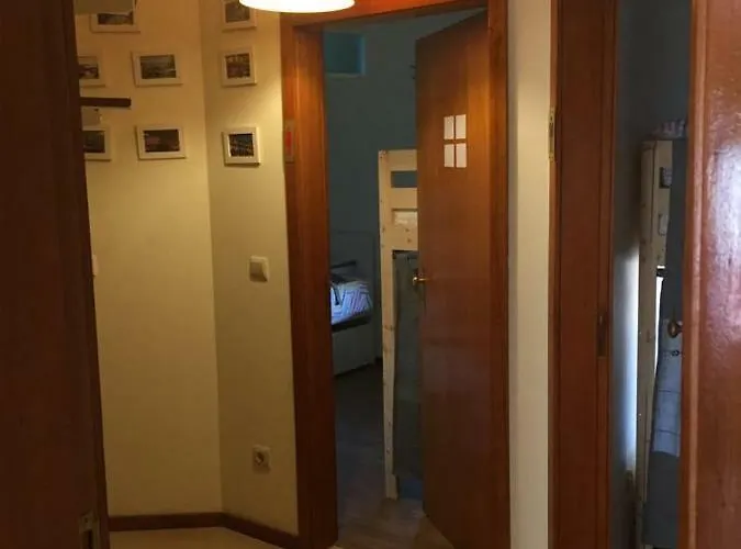 게스트하우스 Enjoy It Porto 히우 틴투