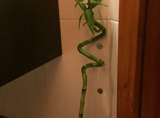 Enjoy It Porto * 히우 틴투