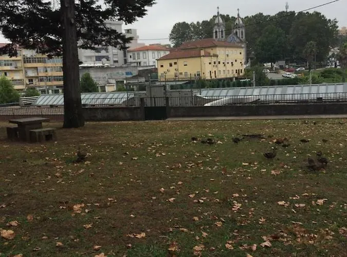 Enjoy It Porto 게스트하우스 히우 틴투