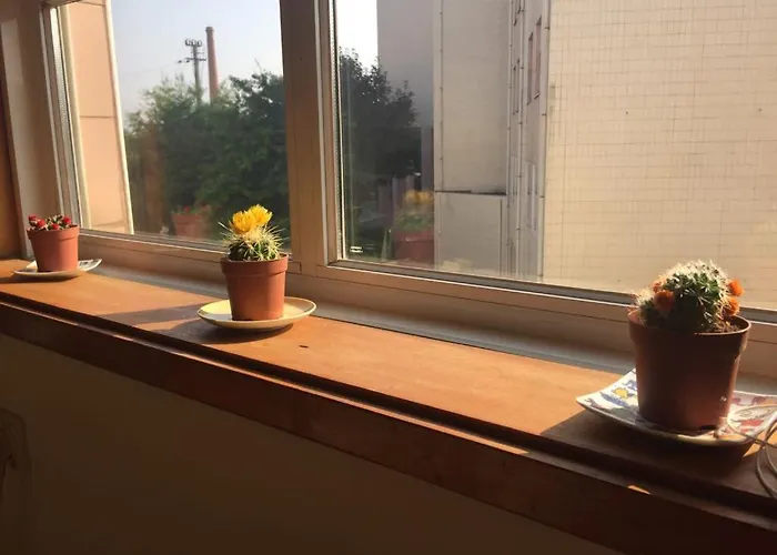 Enjoy It Porto * 히우 틴투